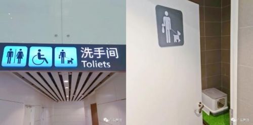 白云机场为猫狗贴心打造“泛亚电竞专用洗手间”(图1)