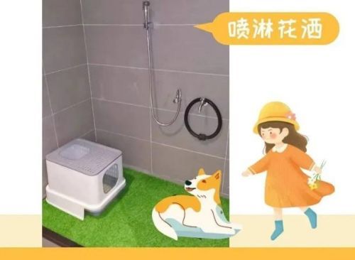 白云机场为猫狗贴心打造“泛亚电竞专用洗手间”(图3)