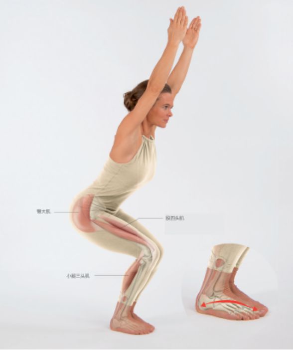 泛亚电竞如何利用瑜伽缓解疼痛、增强下肢力量？(图1)