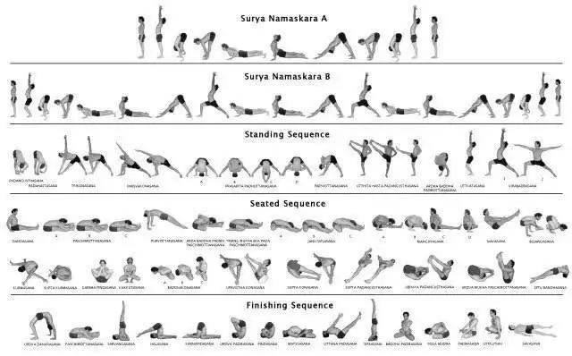 小白泛亚电竞怎么开始练习瑜伽？(图3)