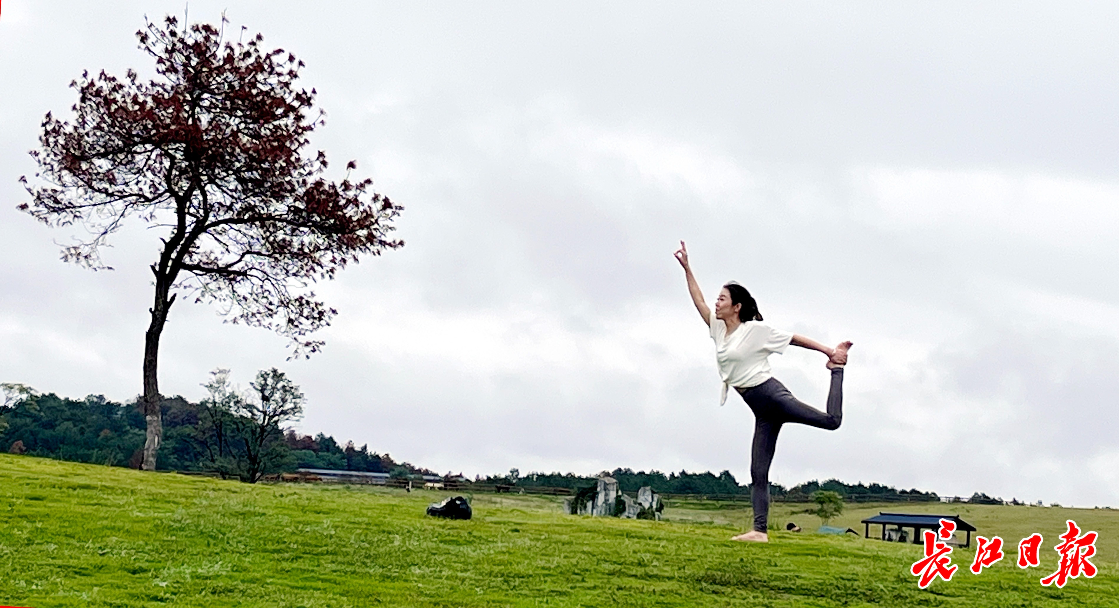 健身瑜伽为木兰草原的秋日添一泛亚电竞抹亮色(图1)