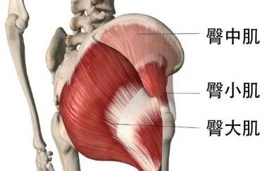 泛亚电竞锻炼臀型的瑜伽动作稳定髋部紧实肌肉让你的臀部不再扁平！(图3)