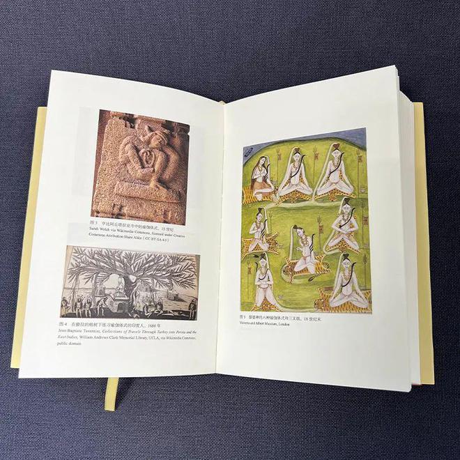 泛亚电竞官方网站：新书 《瑜伽新史：从古印度到现代西方(图4)