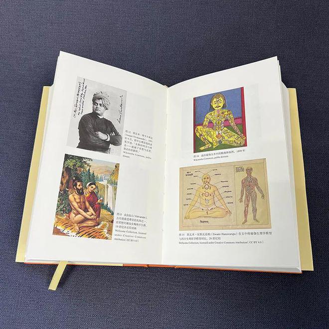 泛亚电竞官方网站：新书 《瑜伽新史：从古印度到现代西方(图3)
